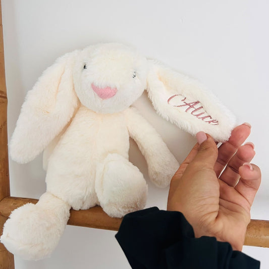 Coelho Peluche com nome personalizado
